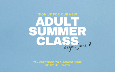 New Adult Summer Class